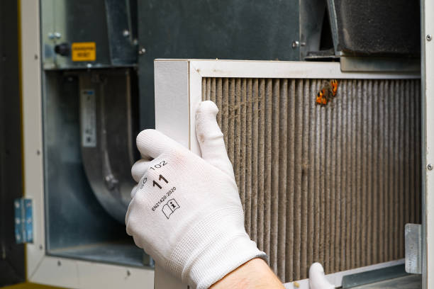Best Dryer Vent Cleaning Services  in Montour Falls, NY